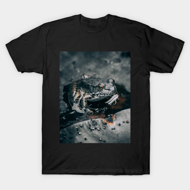 Frog Like A Statue. Black and White Photograph T-Shirt by love-fi